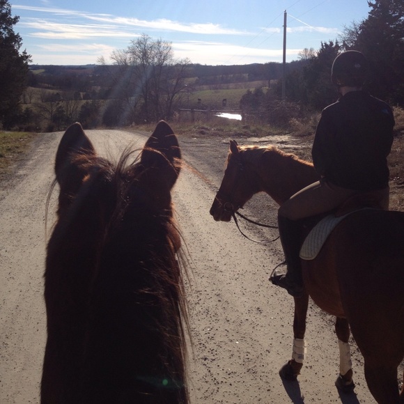 Meet your Posher, Susan - Picture 2 of 3